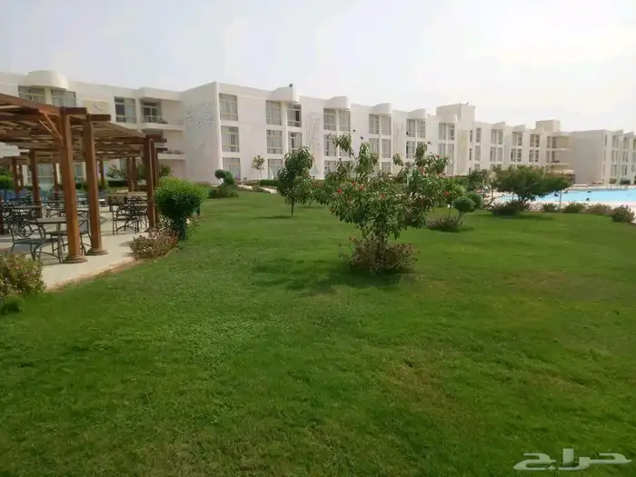 زرع طبيعي واشجار تخفيضات بمناسبة اليوم الوطني 8