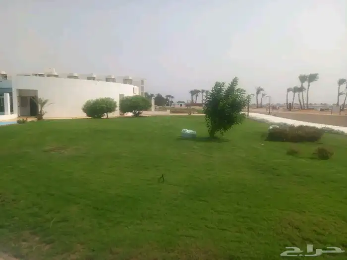 زرع طبيعي واشجار تخفيضات بمناسبة اليوم الوطني 7