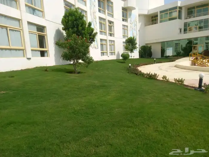 زرع طبيعي واشجار تخفيضات بمناسبة اليوم الوطني 0