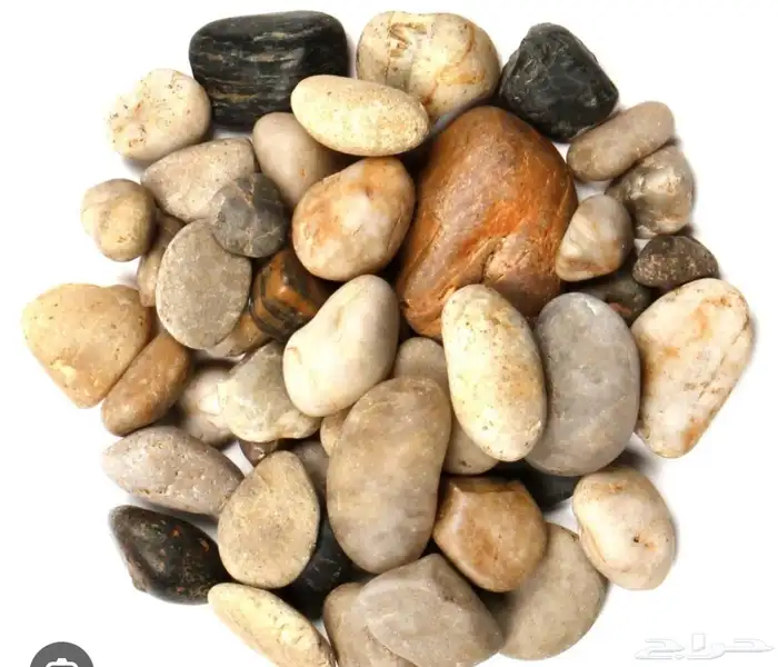 مشتل زراعة وحداق 5