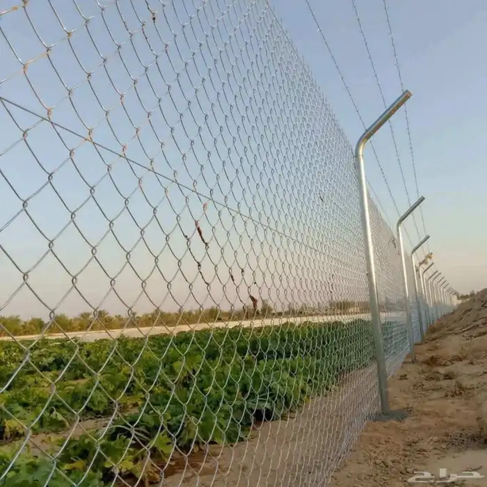 مقاول شبوك 0