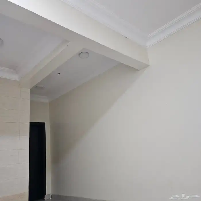 مطلوب شقة عزاب 0