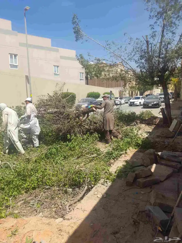 قص شجر تقطيع شجر قشع نخل غرس نخل ازاله أشجار تالفه ونش حاويه 1