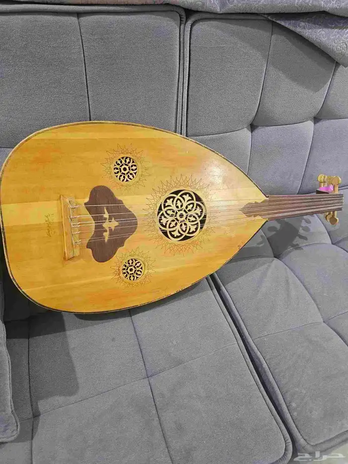 عود للبيع 0