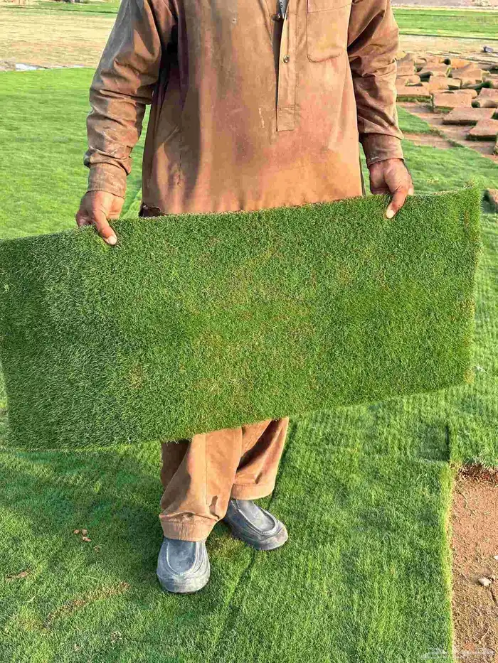 تيل طبيعى المجمعه تنسيق حدائق المجمعه 4