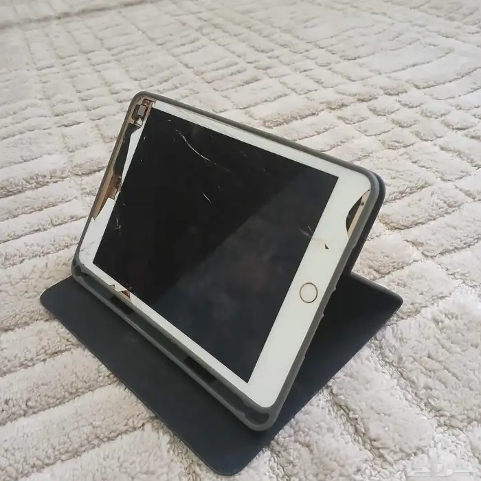 للبيع ايبادين mini و pro 10