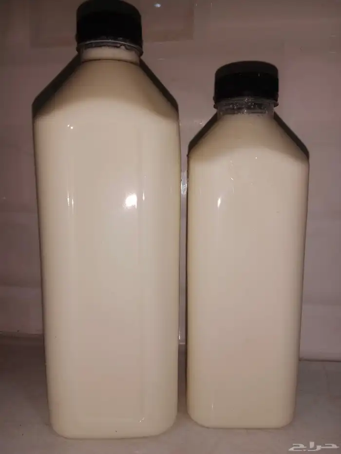 لبن و زبادي بلدي أبقار 3