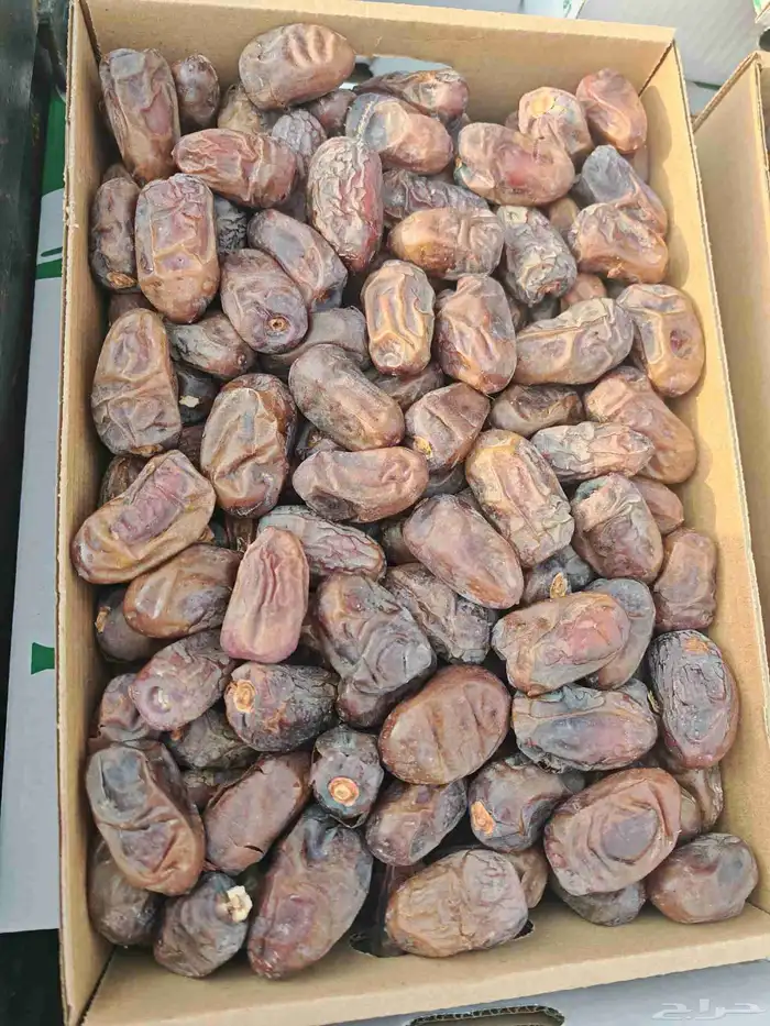 ونانه قشر فاخره جدا 1