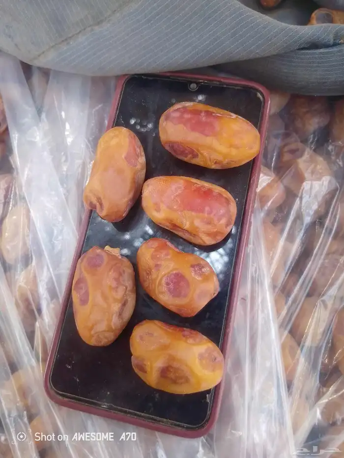 اليوم عندنا اتمر حبه طيبة وفخخر الموقع القرنه توصل جول وتساب 4