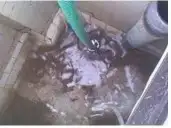 أدوات غسيل تنظيف كنب مفروشات شقق بالمدينة المنورة 2