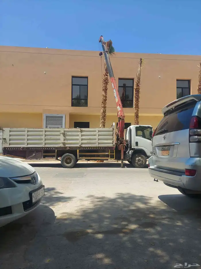 قص شجر تقطيع شجر قشع نخل غرس نخل ازاله أشجار تالفه ونش حاويه 5