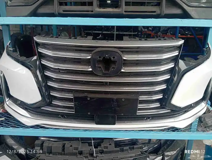 وجهية شانجان 95 2022 3