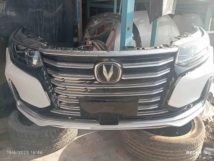 وجهية شانجان 95 2022 1