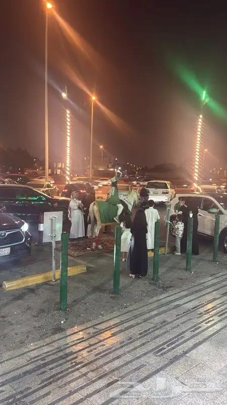 خيول وجمال وحنطور وسياسي ودبابات للايجار 0