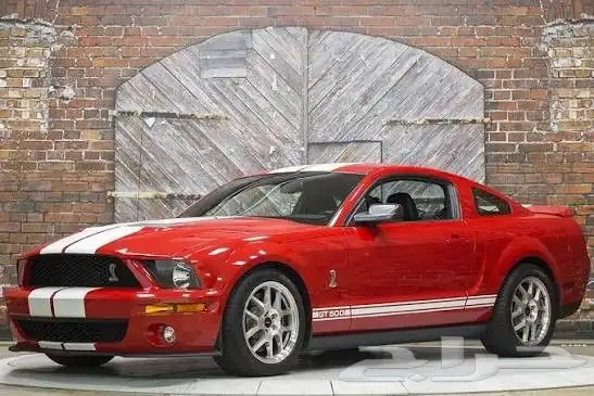 موستنج شلبي ادخل 1