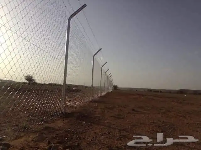توريدوتركيب النخيل والشبوك 5