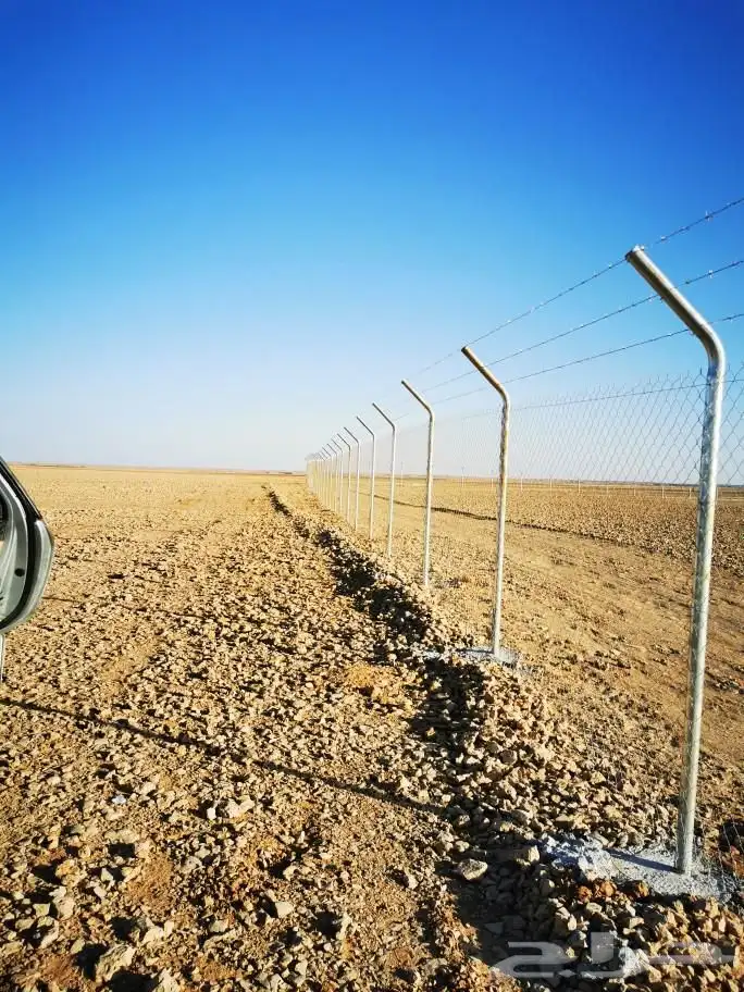 توريدوتركيب النخيل والشبوك 8