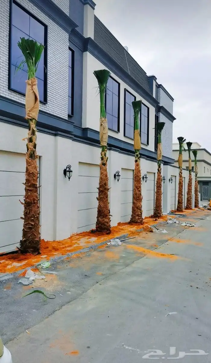 ابو عساف لتوريد انخيل بجميع المقسات أحجام متنسقه 5