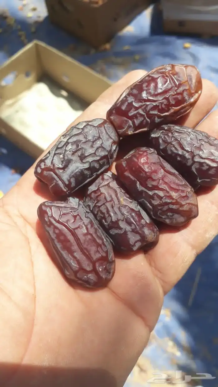 جميع انواع اتمور الفاخر 4