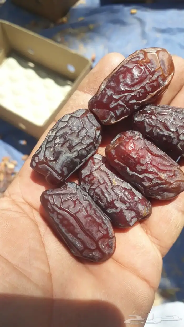 جميع انواع اتمور الفاخر 3