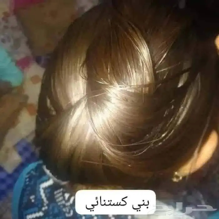 صبغه شعر فري امونيا مع معالج الكافيار عرض العيد 4