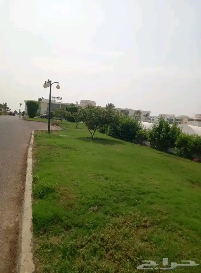 زرع طبيعي واشجار تخفيضات بمناسبة اليوم الوطني 9