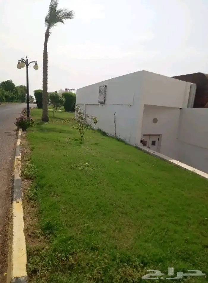 زرع طبيعي واشجار تخفيضات بمناسبة اليوم الوطني 2