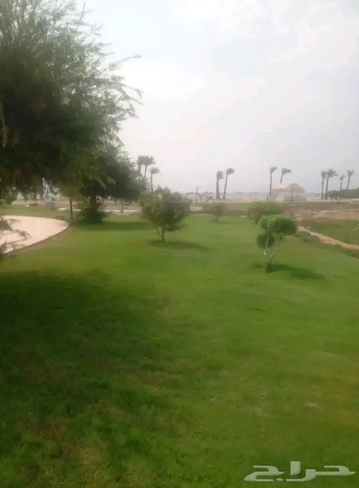 زرع طبيعي واشجار تخفيضات بمناسبة اليوم الوطني 6