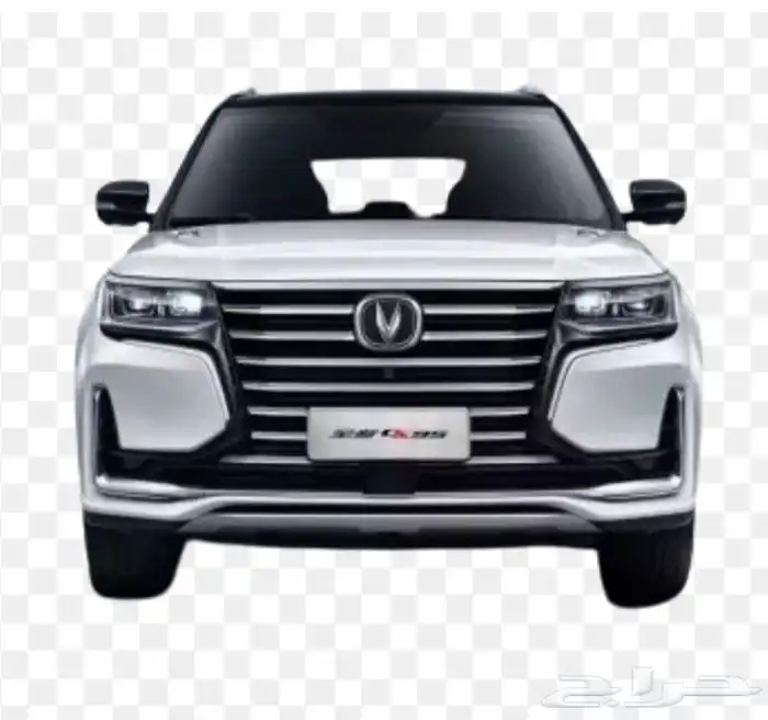 وجهية شانجان 95 2022 0