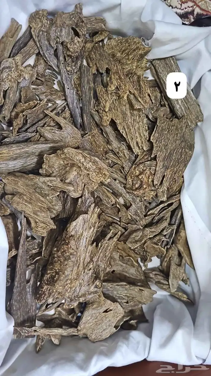 عروض عود طبيعي 1