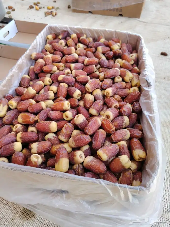 جميع انواع اتمور الفاخر 2