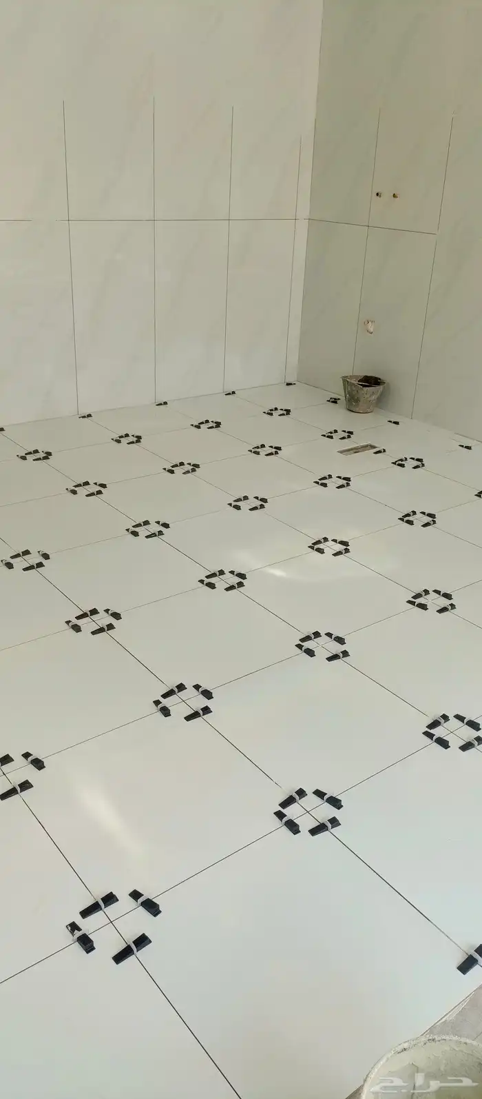 مبلط بلاط  شاني عبدالمجيد 1