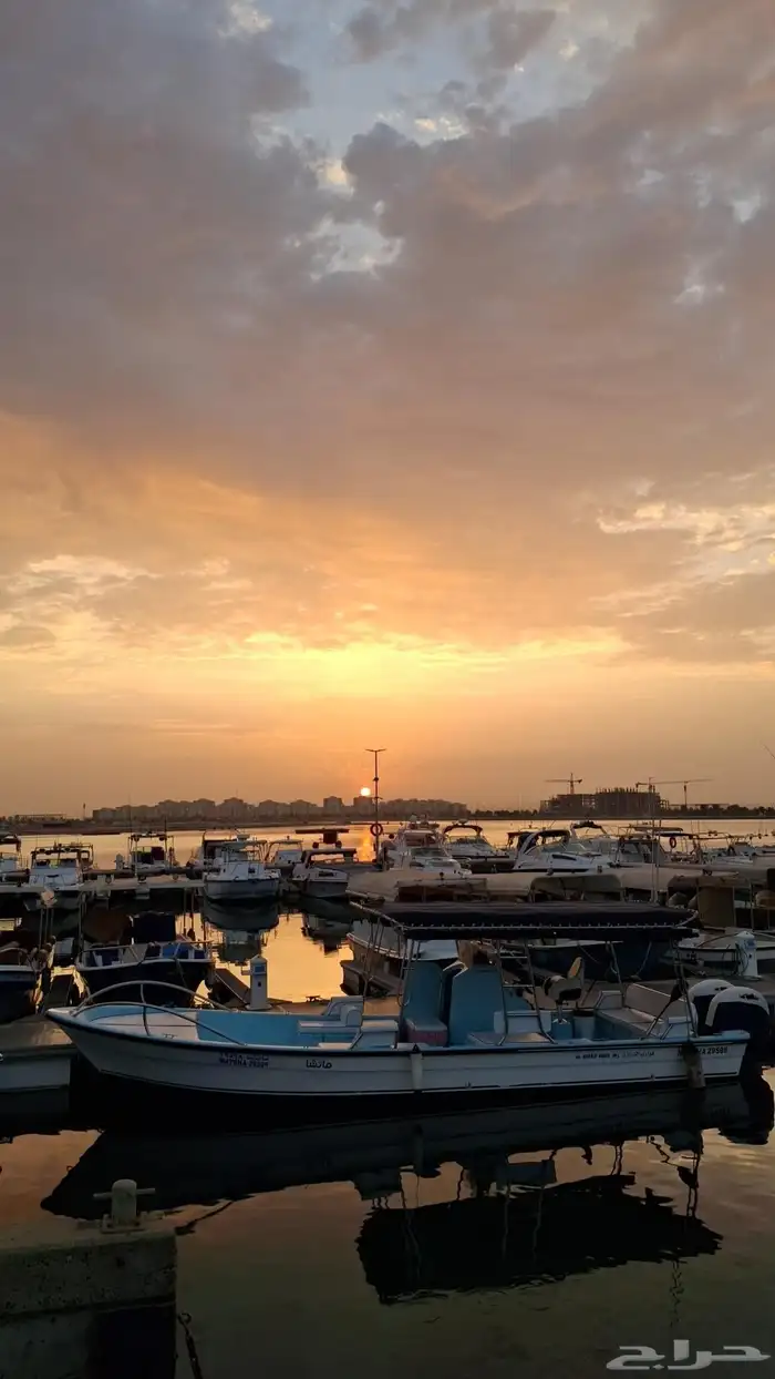 طلعات بحر جدة جولة نزهة جزيرة بياضة رحلات صيد 5