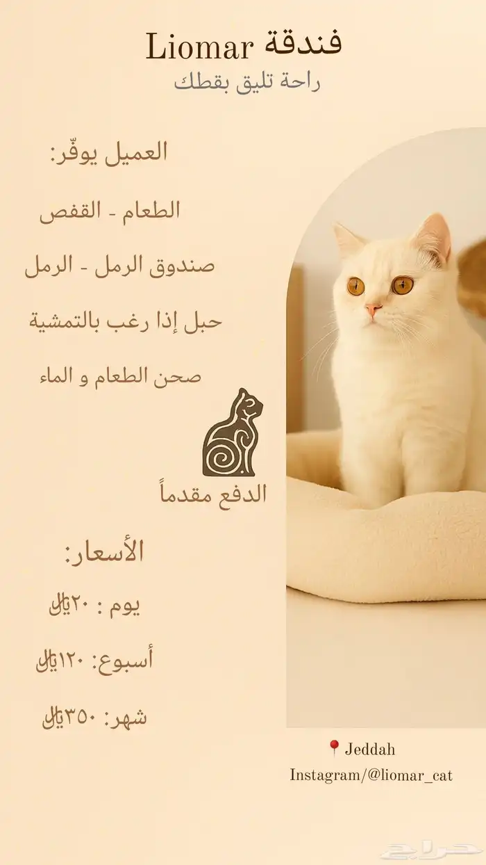 فندقة قطط منزلية 1