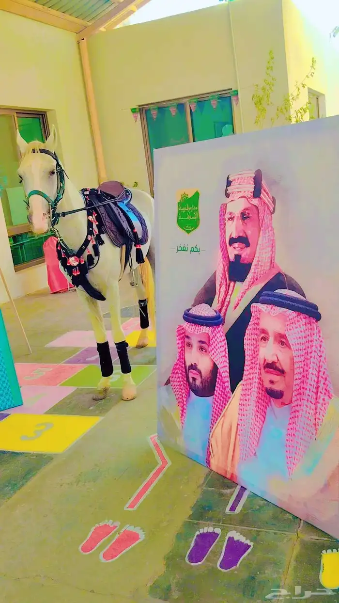 يوجد لدينا اجار خيل و جمال وسيسي يوم اسبوع شهر معا التوصيل و 8