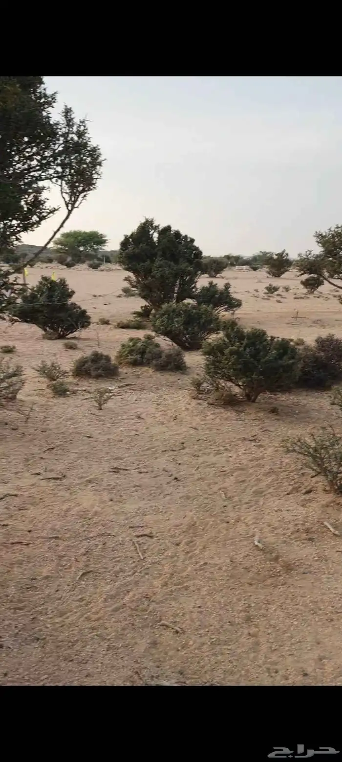 للبيع ارض بصك العرفا4 بسعر مناسب واجهتين زاوية شارعين 20 و12 9