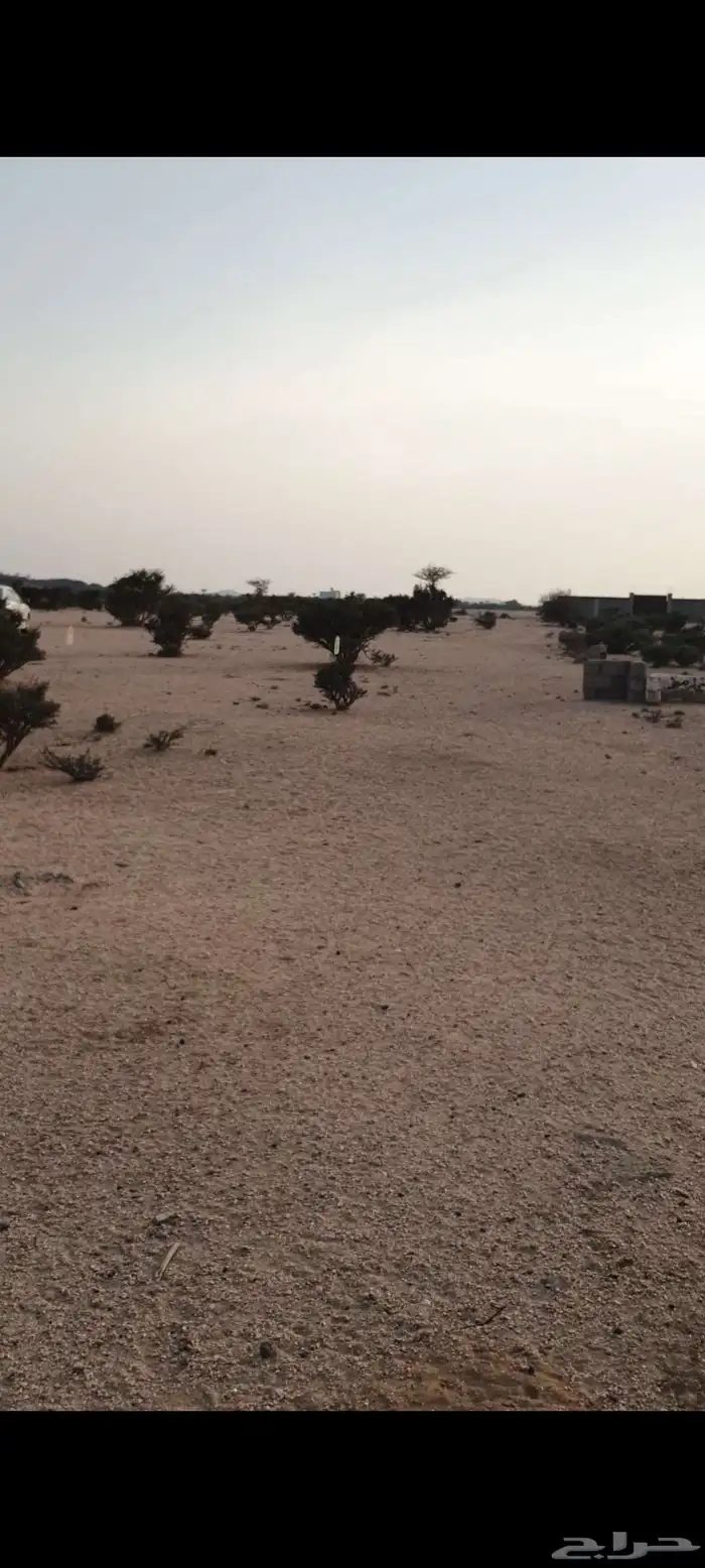 للبيع ارض بصك العرفا4 بسعر مناسب واجهتين زاوية شارعين 20 و12 12