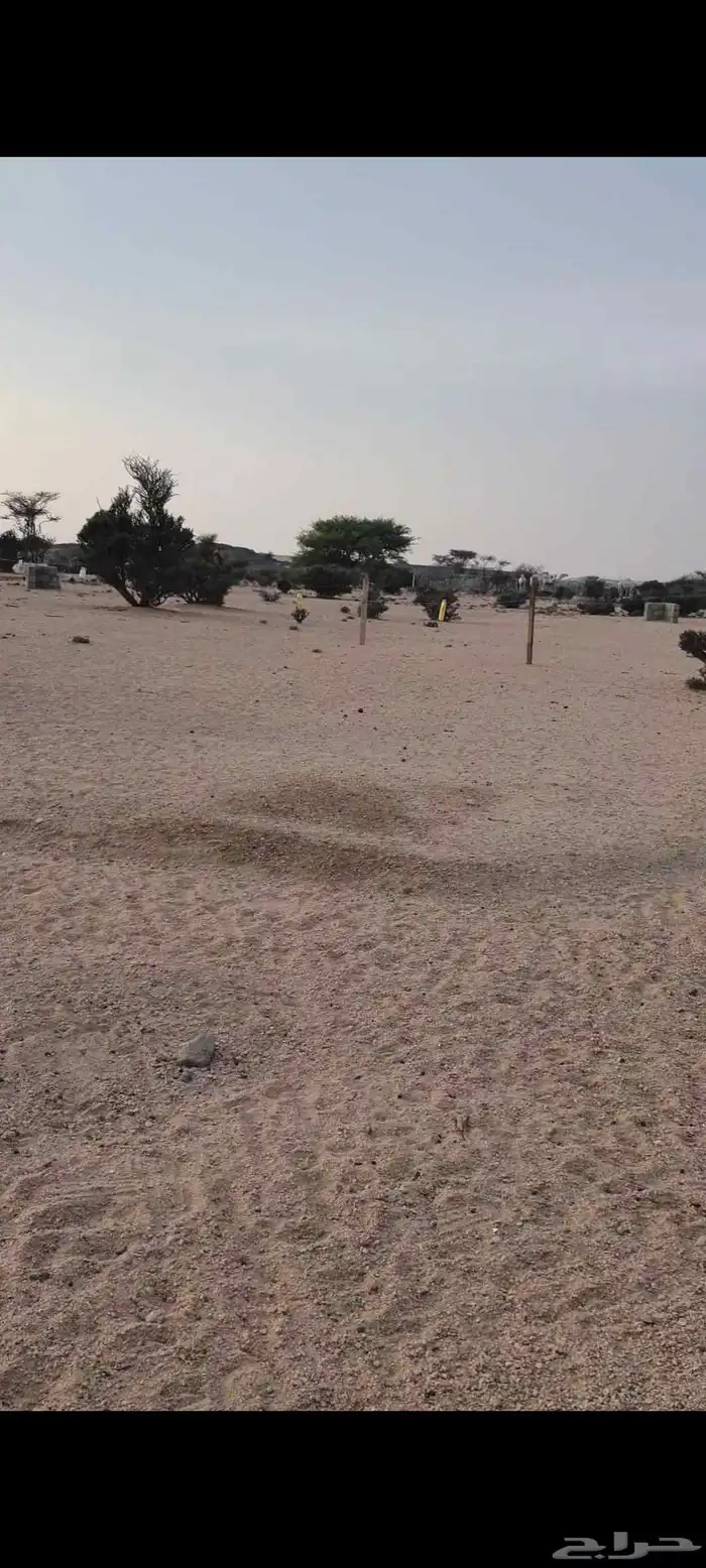 للبيع ارض بصك العرفا4 بسعر مناسب واجهتين زاوية شارعين 20 و12 11