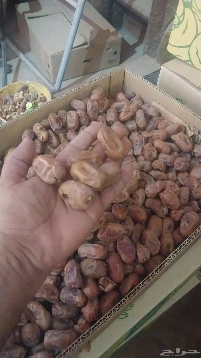 يوجد تمر خلاص حوالي 50كرتون مقمع 0