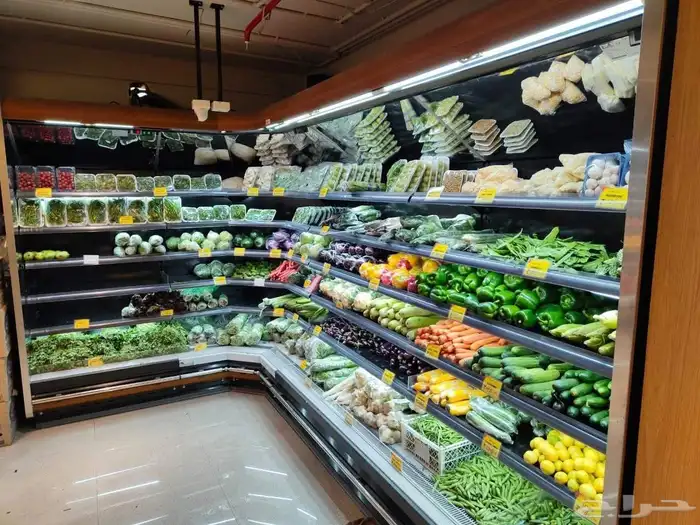 ثلاجات عرض مكشوف مجمدات ابواب توريد وتركيب صيانه غرف تبريد 6