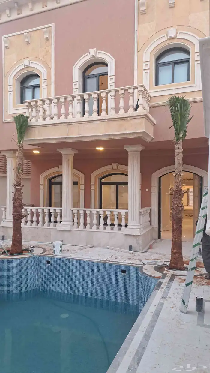 نخل واشنطن زينه للبيع 8