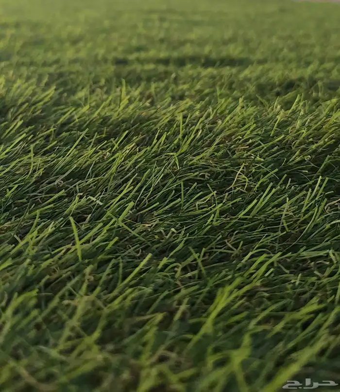 ثيل ملاعب وحدائق مستخدم نظيف فتره الاستخدام 5اشهر البيع بالم 1