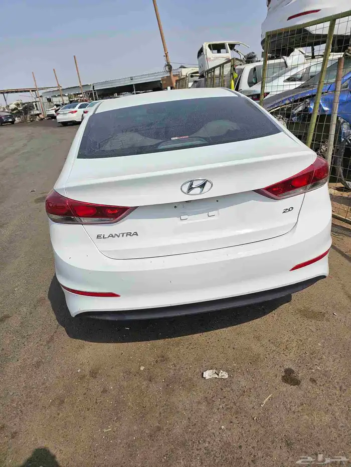 تشاليح الحمدانية جده 6