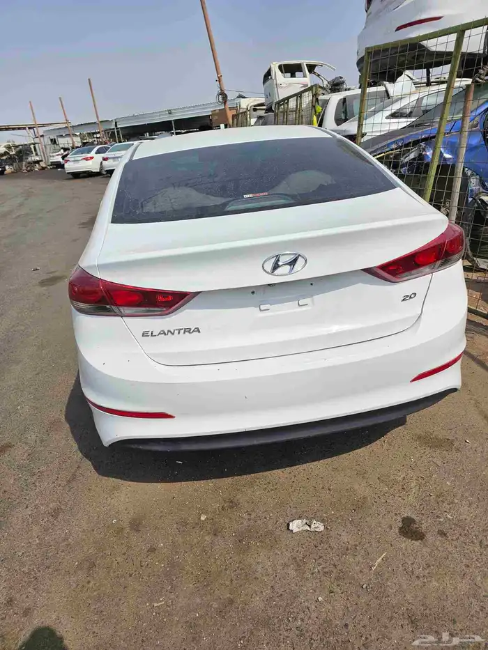 تشاليح الحمدانية جده 7