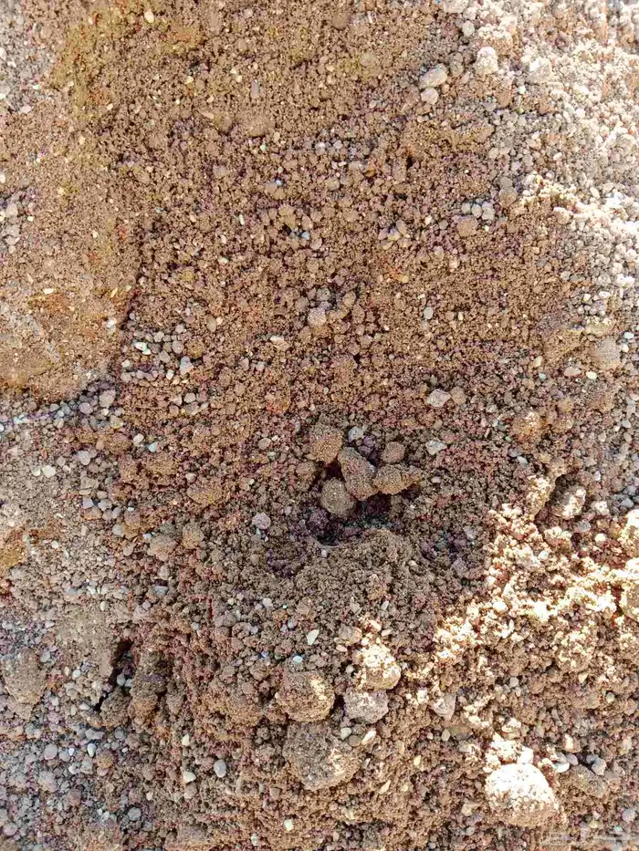 توريد دفان صبيز رمل لياسه رمل احمر رمل البان دفان بلاط زيرو 7