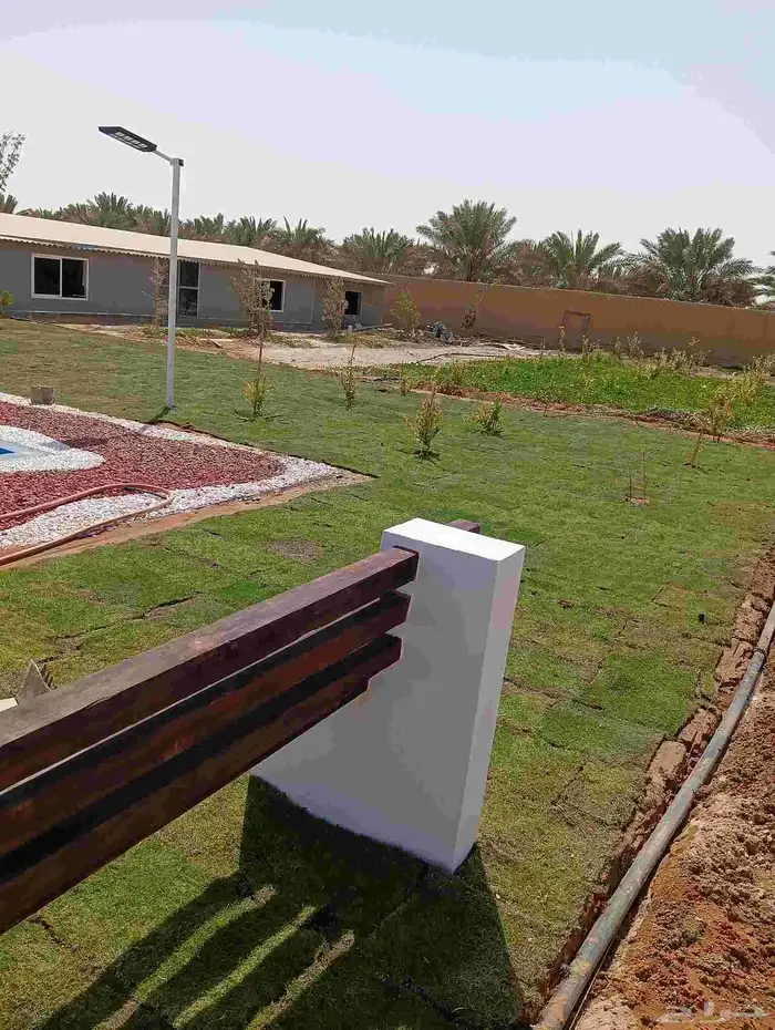 ثيل فرنسي ثيل سي الفين جميع انواع النباتات تنسيق الحدائق 7
