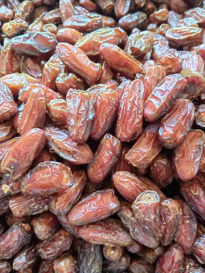 تمر صفري صافي 2