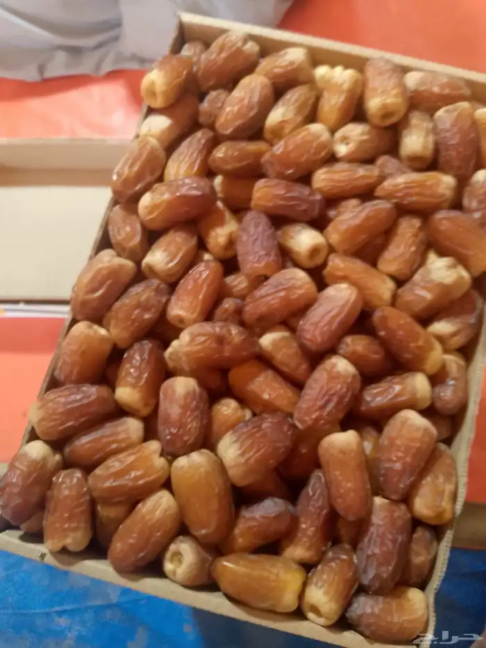 نخل 0