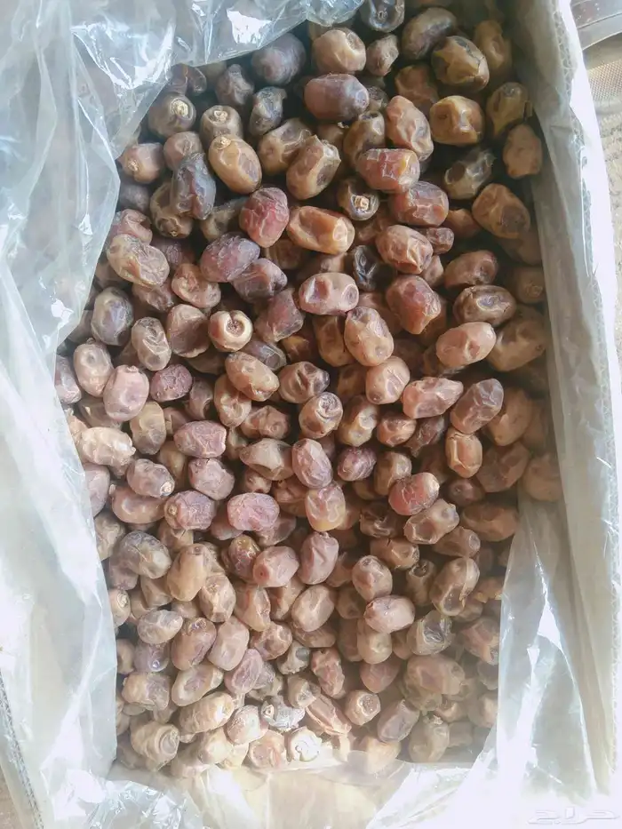 متوفر شيشي كميه كبيره 1