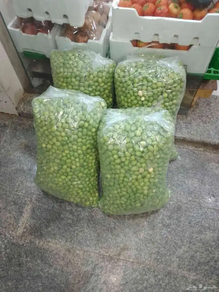 زيتون اخضر من مزارع الجوف 0